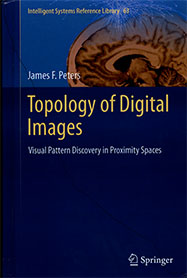 Topology of Digital Images, Visual Pattern Discovery in Proximity Spaces