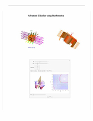 Advanced Calculus Using Mathematica: Notebook Edition Version 2.0